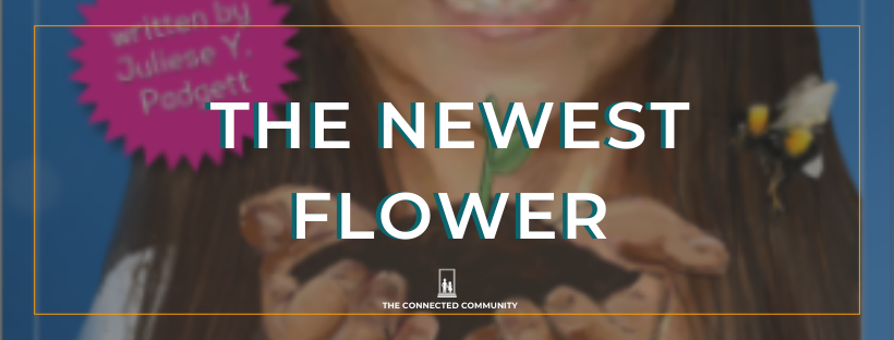 the newest flower blog